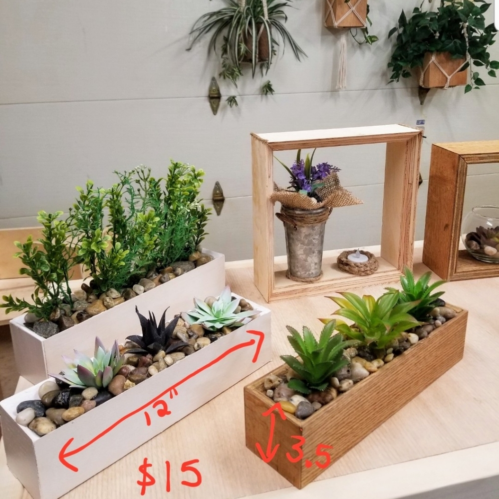 Plant arrangements